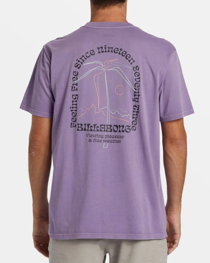 Billabong Wave Washed Essentials Vacay TShirt Dusty Grape 8211 Men