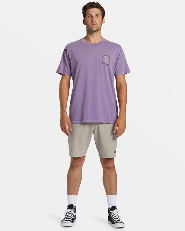 Billabong Wave Washed Essentials Vacay TShirt Dusty Grape 8211 Men