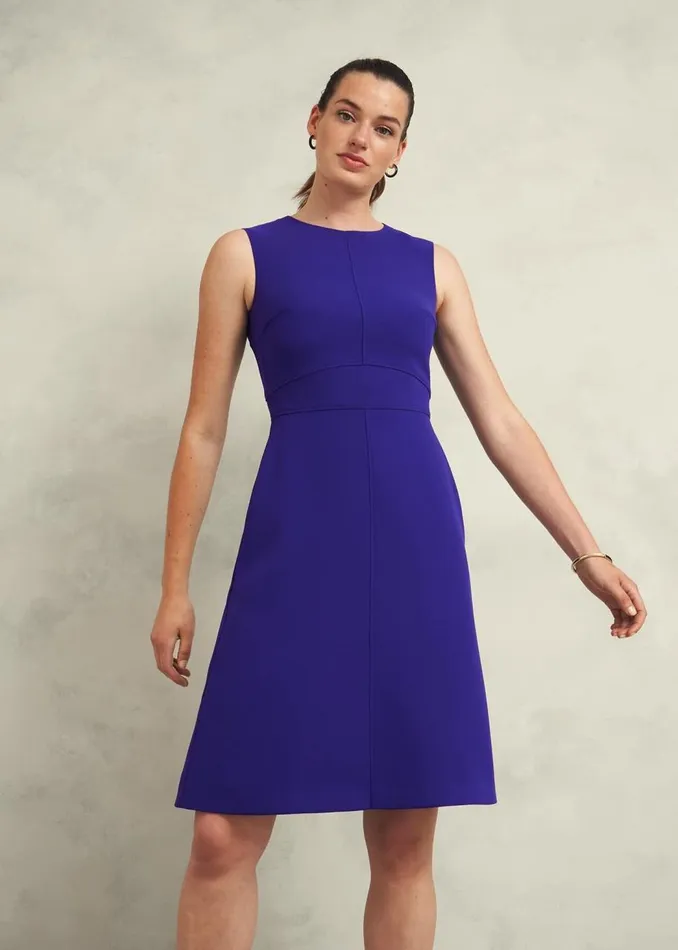 Dresses and Jumpsuits Women HOBBS Ophelia Dress Cobalt