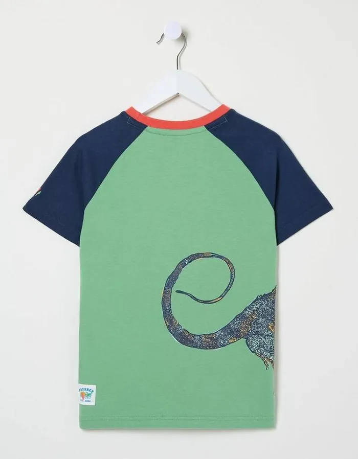 Kids FatFace TShirts and Polos Creature Graphic T Shirt Mint Green