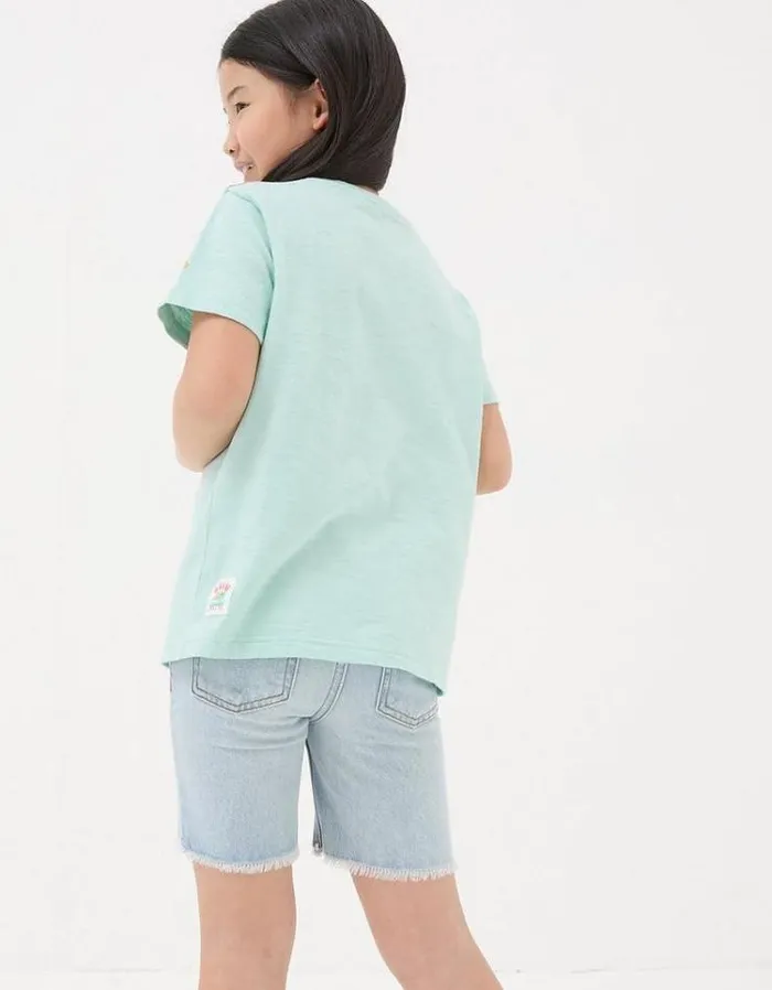 Kids FatFace Tops and TShirts Shark Species T Shirt Mint Green