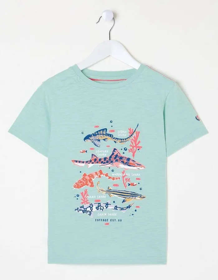 Kids FatFace Tops and TShirts Shark Species T Shirt Mint Green