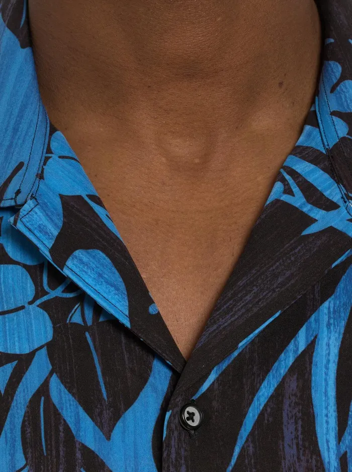 Men Short Sleeve Button Down Shirts Robert Graham DRIFT AWAY SHORT SLEEVE BUTTON DOWN SHIRT Multi