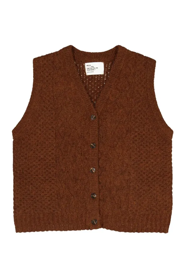 Pulls and Vests Women Leon and Harper Mood Chn Jumper Brown