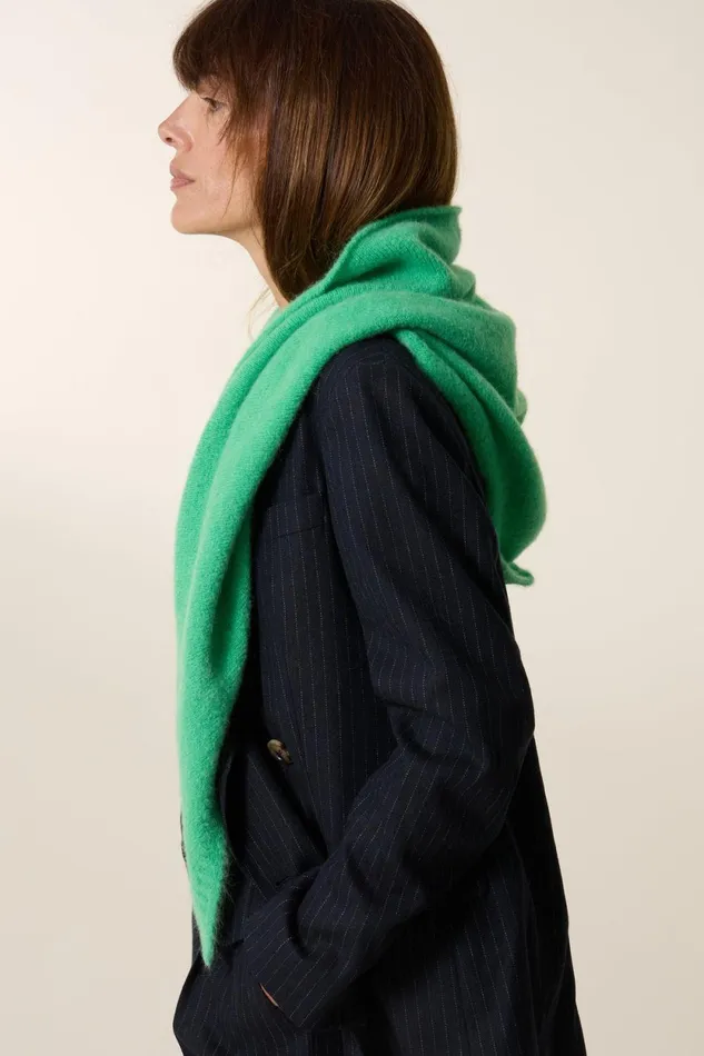 Scarves and Beanies Women Leon and Harper Magic Pln Scarf Green