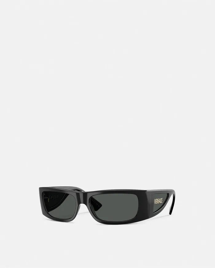 Versace Sunglasses Men Lens Logo Sunglasses Black