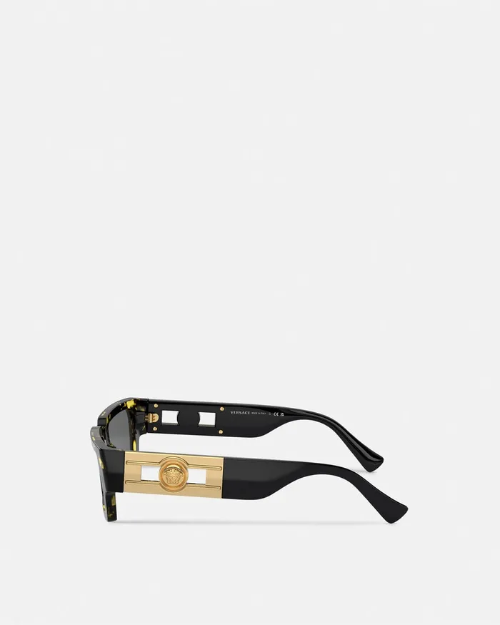 Versace Sunglasses WomenMen Medusa Deco Sunglasses Havana