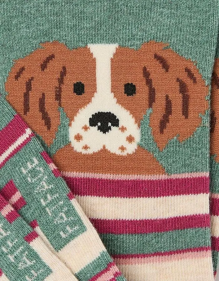 Women FatFace Underwear Socks and Tights 1 Pack Dog Stripe Socks Green Marl