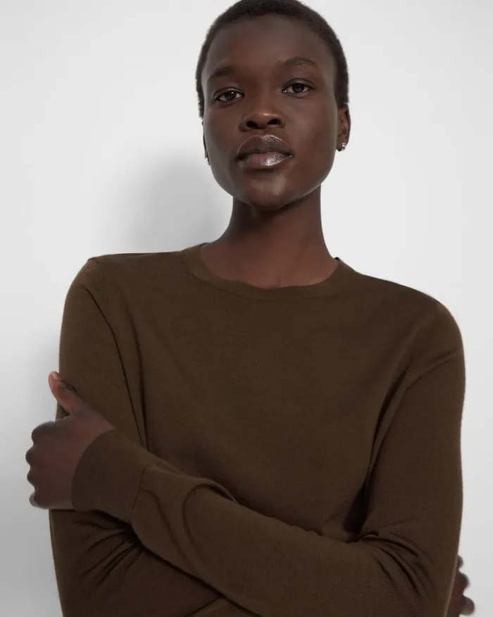 Women Theory Sweaters Cardigans Crewneck Sweater In Regal Wool Dark Cocoa
